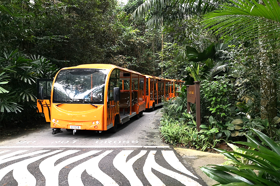 電動I型敞開式帶拖掛區(qū)間觀光車